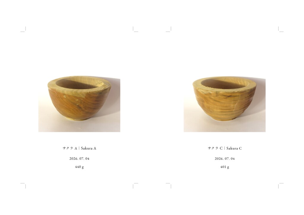 記録写真、各148 × 100 mm, インクジェットプリント