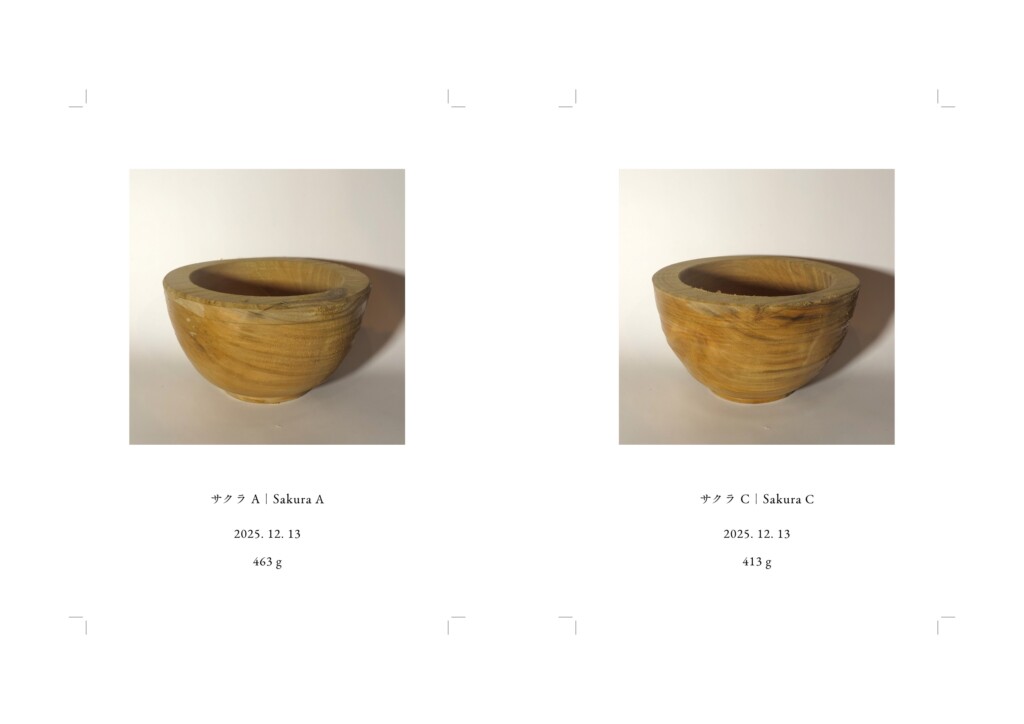記録写真、各148 × 100 mm, インクジェットプリント