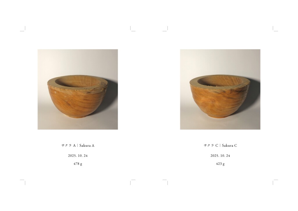 記録写真、各148 × 100 mm, インクジェットプリント