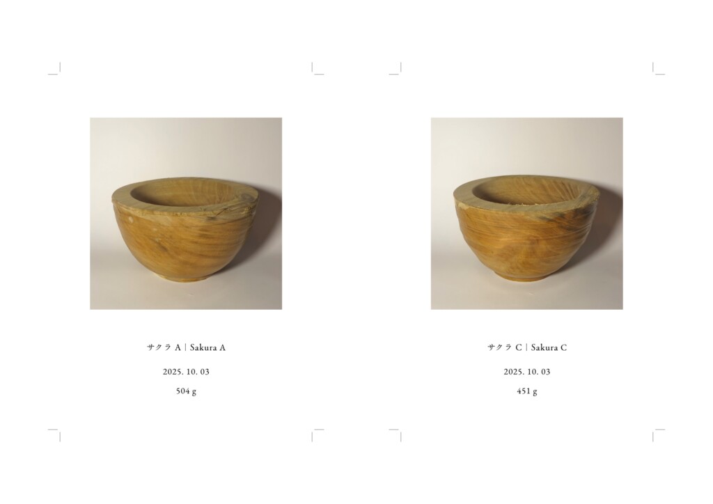 記録写真、各148 × 100 mm, インクジェットプリント