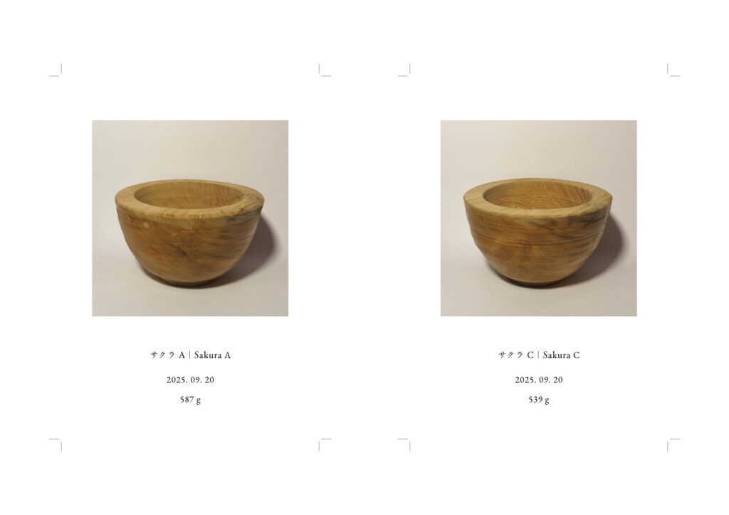 記録写真、各148 × 100 mm, インクジェットプリント