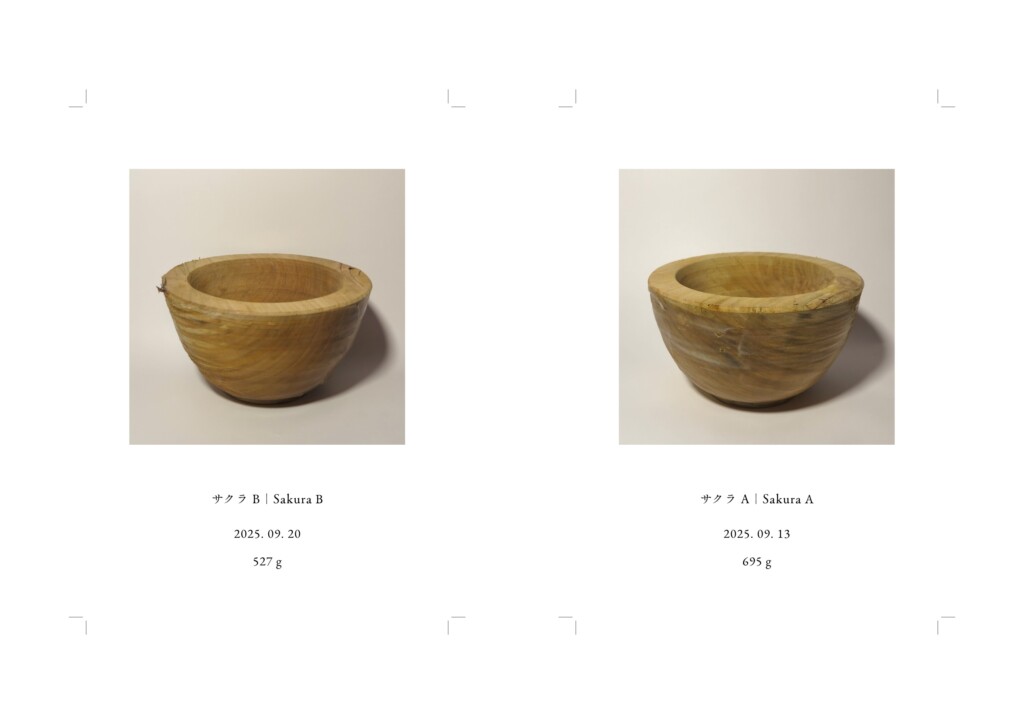 記録写真、各148 × 100 mm, インクジェットプリント