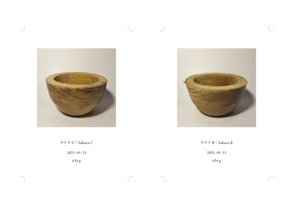 記録写真、各148 × 100 mm, インクジェットプリント
